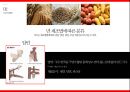 자원론 11페이지