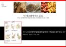 자원론 14페이지