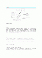 기초생활보호 독거노인 개별사례개입 : 동사무소에서 군산종합사회복지관으로 의뢰하여 2013년 하계실습을 통해 면접상담을 실시한 사례 4페이지