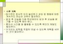 정서적 불안을 겪고 있는 아동 사례개입(5회상담내용포함) PPT 파워포인트 18페이지