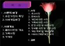 조손가정 아동의 정서적 지지를 위한 사례개입 (상담5회기포함).PPT자료 2페이지