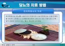 당뇨, 당뇨병(당뇨병이란?, 당뇨병의 원인, 당뇨병의 증상, 당뇨의 치료 방법, 한의학 치료, 양방 치료, 운동 처방 요법, 민간 요법 & 식이 요법).PPT자료 8페이지