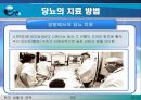 당뇨, 당뇨병(당뇨병이란?, 당뇨병의 원인, 당뇨병의 증상, 당뇨의 치료 방법, 한의학 치료, 양방 치료, 운동 처방 요법, 민간 요법 & 식이 요법).PPT자료 18페이지