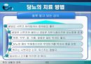 당뇨, 당뇨병(당뇨병이란?, 당뇨병의 원인, 당뇨병의 증상, 당뇨의 치료 방법, 한의학 치료, 양방 치료, 운동 처방 요법, 민간 요법 & 식이 요법).PPT자료 24페이지