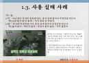 [한글맞춤법, 맞춤법] 한글 맞춤법 실태 조사 - 실생활 한글 맞춤법 사용 실태 (간판 언어전달 방법의 특성, 사용 실태 사례) & 인터넷 한글 맞춤법 사용 실태 (인터넷 용어의 특성).PPT자료 14페이지