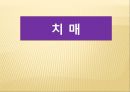 노인질병의 예방 (노인 질병, 뇌졸중, 치매, 당뇨병, 고혈압, 지루 각화증).PPT자료 14페이지