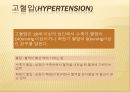 노인질병의 예방 (노인 질병, 뇌졸중, 치매, 당뇨병, 고혈압, 지루 각화증).PPT자료 26페이지