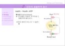 [비만 심리학] 심리학 측면에서 바라본 비만의 특징과 현 실태 및 비만문제 영향, 특징, 해결방안과 전망 레포트 8페이지