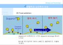 [비만 심리학] 심리학 측면에서 바라본 비만의 특징과 현 실태 및 비만문제 영향, 특징, 해결방안과 전망 레포트 29페이지