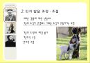 [인지발달이론] 인지발달이론, 장 피아제 인지발달이론, 발달의 일반적 원리, 피아제 이론 관점, 비고츠키 인지발달 이론, 비고츠키 인지발달 관점등 7페이지