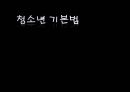 [청소년기본법] 청소년 기본법의 주요 내용과 특징 및 문제점과 개선방안 - 개정의 의의와 주요내용, 정책의 총괄조정, 지도자 1페이지