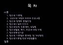 [청소년기본법] 청소년 기본법의 주요 내용과 특징 및 문제점과 개선방안 - 개정의 의의와 주요내용, 정책의 총괄조정, 지도자 2페이지