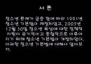 [청소년기본법] 청소년 기본법의 주요 내용과 특징 및 문제점과 개선방안 - 개정의 의의와 주요내용, 정책의 총괄조정, 지도자 3페이지