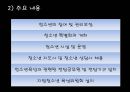 [청소년기본법] 청소년 기본법의 주요 내용과 특징 및 문제점과 개선방안 - 개정의 의의와 주요내용, 정책의 총괄조정, 지도자 13페이지