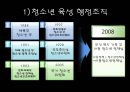 [청소년기본법] 청소년 기본법의 주요 내용과 특징 및 문제점과 개선방안 - 개정의 의의와 주요내용, 정책의 총괄조정, 지도자 15페이지