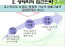 [특수아동 교육과정] 특수아동 교육과정의 개념, 특수아동 교육과정 구조 및 유형, 전개, 특수아동 교육과정 전략 등 29페이지