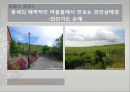 [축제를 통해 살펴본 프랑스 관광 명소]파리,오를레앙,보르도,생말로,랭스,아미앵,알자스,니스,망통 37페이지