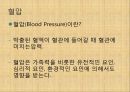 [혈압 치료 방안] 운동 중 혈압의 변화 원인과 문제점 및 다양한 혈압 관련 질환과 치료방안 3페이지