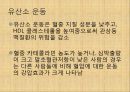 [혈압 치료 방안] 운동 중 혈압의 변화 원인과 문제점 및 다양한 혈압 관련 질환과 치료방안 48페이지