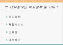 다양한 내부장애의 정의, 특징, 원인, 치료방안, 복지정책, 문제점 및 복지서비스 개선방안 39페이지
