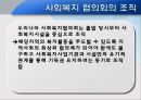 대전 사회복지 협의회 기관분석 발표보고서 (인터뷰도 포함) 13페이지