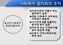 대전 사회복지 협의회 기관분석 발표보고서 (인터뷰도 포함) 16페이지