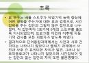 배틀 스도쿠(sudoku / 數獨)의 효과의 이해와 그에대한 검증 (연구 방법, 피험자, 절차, 도구, 연구 결과).PPT자료 3페이지