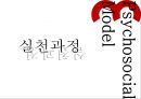 심리사회모델의 이론 분석과 실천 적용 사례 및 앞으로 나아갈 방향 제언 14페이지