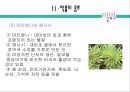 약물남용 (약물중독)의 원인과 실태 및 문제점과 약물남용 예방 방안 11페이지