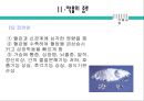 약물남용 (약물중독)의 원인과 실태 및 문제점과 약물남용 예방 방안 13페이지