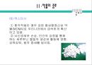 약물남용 (약물중독)의 원인과 실태 및 문제점과 약물남용 예방 방안 16페이지