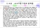 소년소녀 가장의 실태와 문제점 및 소년소녀 가장의 복지 대책방안 10페이지
