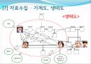 MBC 일일 연속 드라마 를 통해 살펴본 가족치료의 개입 사례와 그 이론들 (인물소개 및 특성, 모델 개입과정, 의뢰과정 - Intake, 제시된 문제, 자료수집 가계도 생태도, 치료적 개입).PPT자료 18페이지