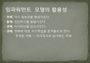 [임파워먼트 분석] 임파워먼트 모델(Empowerment Model)의 개념과 특징 및 이론, 실천과정과 사례, 한계성에 따른 개선방안 PPT자료 19페이지