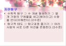 유아 활동지도안 수학 활동 수업 계획안  숫자만들기 (활동 소개, 교육과정 관련요소, 교수-학습 활동) PPT자료 5페이지