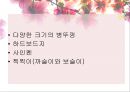 유아 활동지도안 수학 활동 수업 계획안  숫자만들기 (활동 소개, 교육과정 관련요소, 교수-학습 활동) PPT자료 8페이지