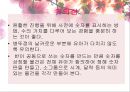 유아 활동지도안 수학 활동 수업 계획안  숫자만들기 (활동 소개, 교육과정 관련요소, 교수-학습 활동) PPT자료 17페이지