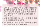 유아 활동지도안 수학 활동 수업 계획안  숫자만들기 (활동 소개, 교육과정 관련요소, 교수-학습 활동) PPT자료 18페이지