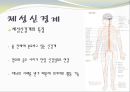 중추신경계, 체성신경계, 자율 신경계에 대한 이해 (신비 파헤치기 : 뇌, 중추신경계: 척수, 체성신경계, 자율신경계, 신비 파헤치기 : 초능력자).PPT자료 6페이지