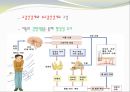중추신경계, 체성신경계, 자율 신경계에 대한 이해 (신비 파헤치기 : 뇌, 중추신경계: 척수, 체성신경계, 자율신경계, 신비 파헤치기 : 초능력자).PPT자료 12페이지