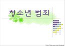 청소년 범죄 (청소년 비행의 개념과 범죄의 연관성, 청소년 범죄의 특징 및 현황, 위험요인 및 보호요인, 사회복지적 접근, 청소년 폭력과 사회복지적 접근).PPT자료 1페이지