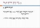 한국의 복지 이념에 대한 분석과 문제점 및 리차드 세넷의 입장에서 본 한국의 복지 개선방안 21페이지
