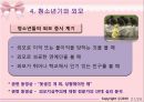 청소년기 외모문제에 대한 바람직한 상담 방법 및 상담기법 22페이지