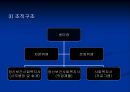지역사회 정신보건의 현황과 특징 및 전반의 문제점과 해결방안 (기관방문 보고서 포함) 15페이지