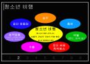 청소년 비행의 현황과 특징 및 청소년 비행 대책방안 3페이지