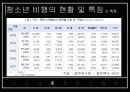 청소년 비행의 현황과 특징 및 청소년 비행 대책방안 11페이지