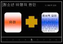 청소년 비행의 현황과 특징 및 청소년 비행 대책방안 16페이지