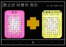 청소년 비행의 현황과 특징 및 청소년 비행 대책방안 19페이지