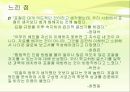 표절의 의미와 문제점, 표절 사례 및 올바른 글쓰기 방안 29페이지