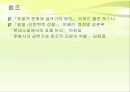 표절의 의미와 문제점, 표절 사례 및 올바른 글쓰기 방안 30페이지